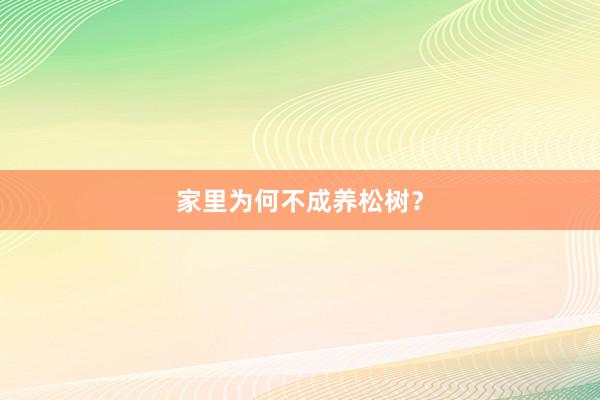 家里为何不成养松树？